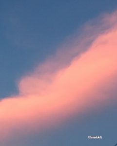 コーラルピンクのソラ